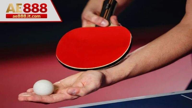 Tại sao nên chơi cá cược bóng bàn tại Thể Thao AE888